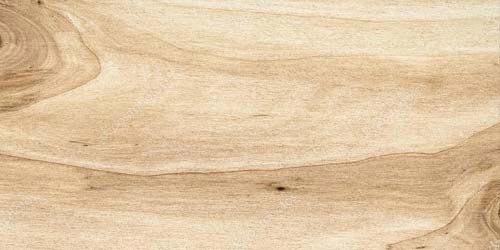 Closets de chapas naturales. Ciudad de Mexico